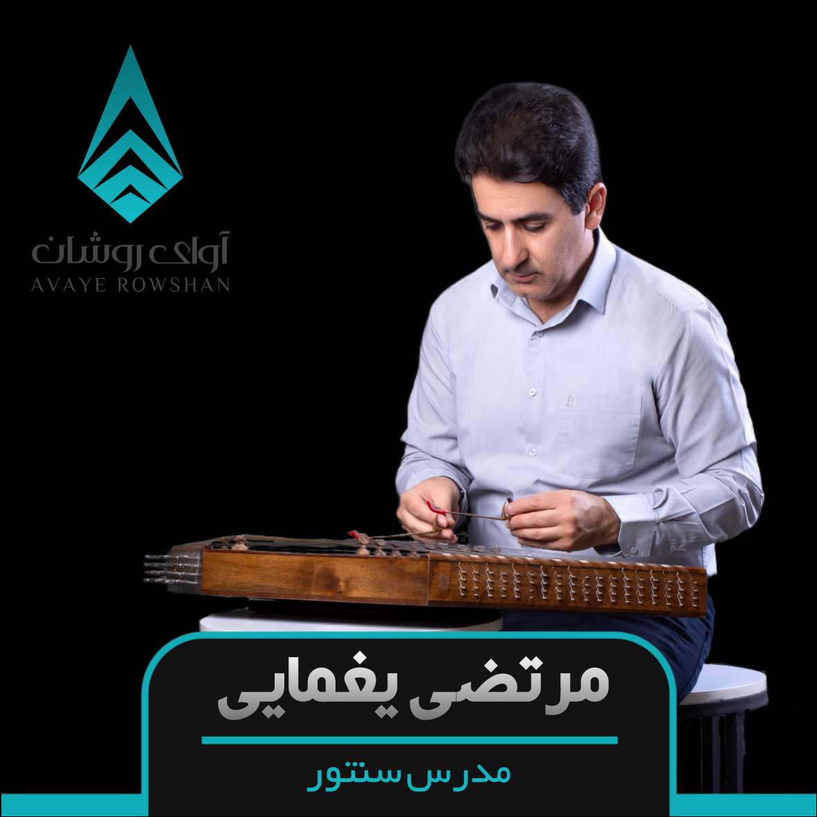 مرتضی یغمایی